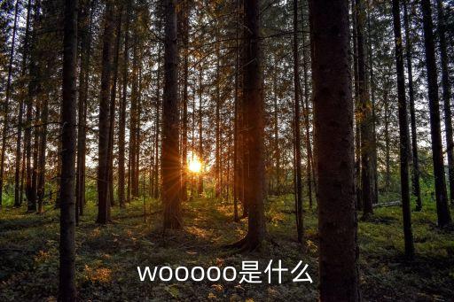 水獺是什么，wooooo是什么