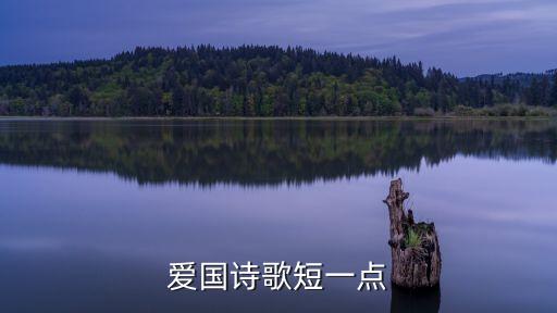 愛(ài)國(guó)詩(shī)歌短一點(diǎn)