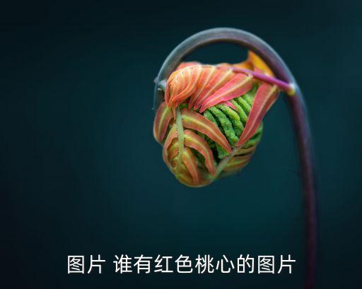 桃心圖片，關于愛心的圖片
