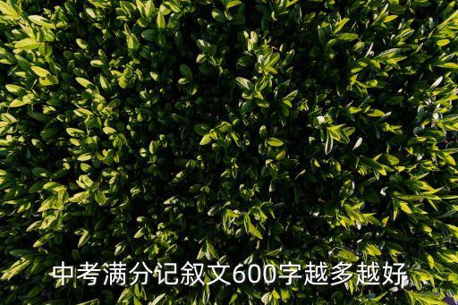 中考滿分記敘文600字越多越好