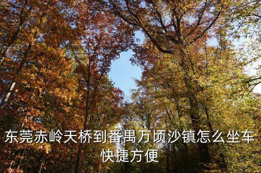 東莞赤嶺天橋到番禺萬頃沙鎮怎么坐車快捷方便