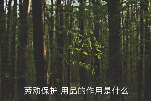  勞動(dòng)保護(hù) 用品的作用是什么