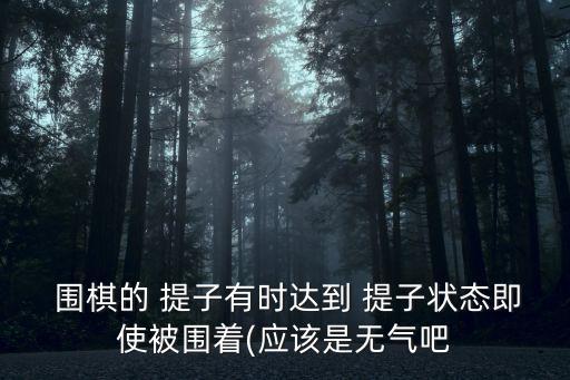  圍棋的 提子有時(shí)達(dá)到 提子狀態(tài)即使被圍著(應(yīng)該是無(wú)氣吧
