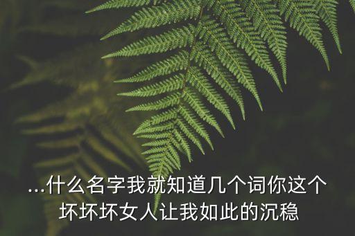 ...什么名字我就知道幾個(gè)詞你這個(gè) 壞壞壞女人讓我如此的沉穩(wěn)