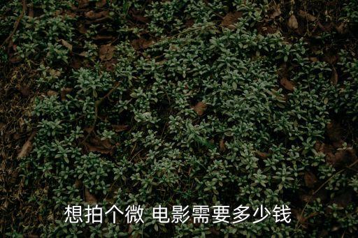 企業微電影,企業自然微電影成本高于個人屬性質量要求更高