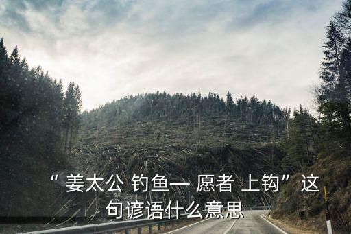 姜太公釣魚愿者上鉤,注意事項:釣魚是自愿的行為