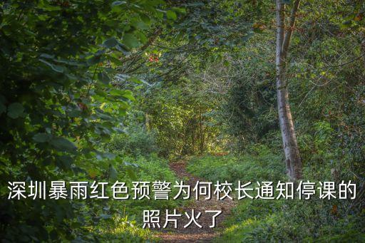 深圳暴雨紅色預警為何校長通知停課的照片火了