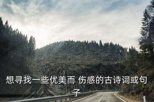 想尋找一些優美而 傷感的古詩詞或句子