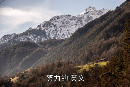 努力奮斗的英文,英語單詞奮斗還是努力有很多意思
