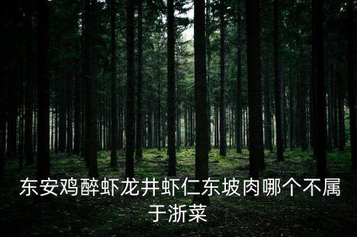 東安子雞,東安子雞雞湯詳解