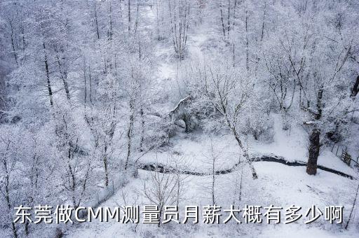 東莞做CMM測(cè)量員月薪大概有多少啊