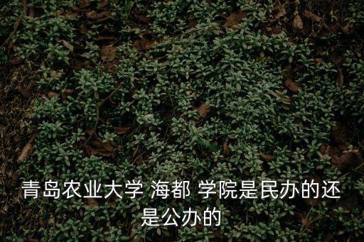 青島農業大學 海都 學院是民辦的還是公辦的