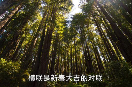 新春大吉，新春大吉這對對聯(lián)的意思