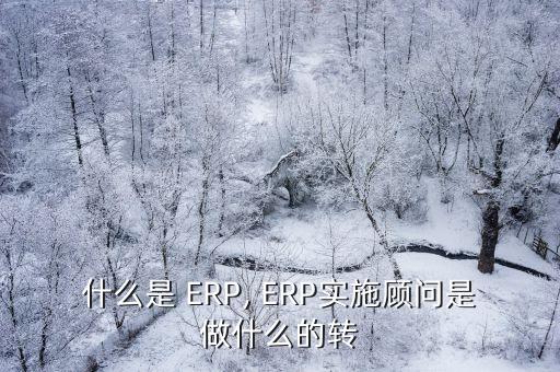 ERP工程師,軟件開發(fā)工程師的職業(yè)前景分析