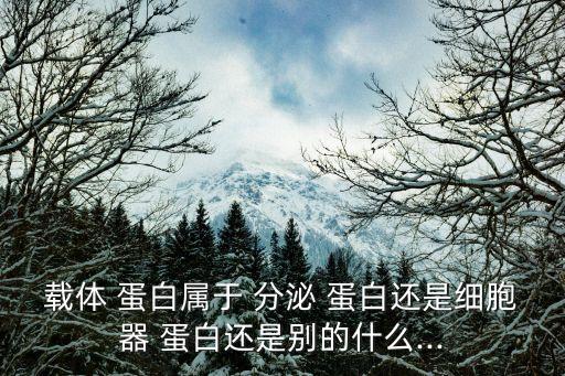 載體 蛋白屬于 分泌 蛋白還是細胞器 蛋白還是別的什么...