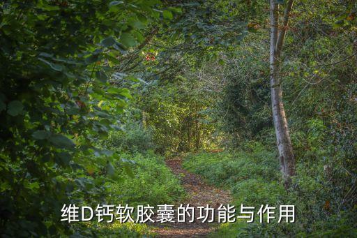 維D鈣軟膠囊的功能與作用