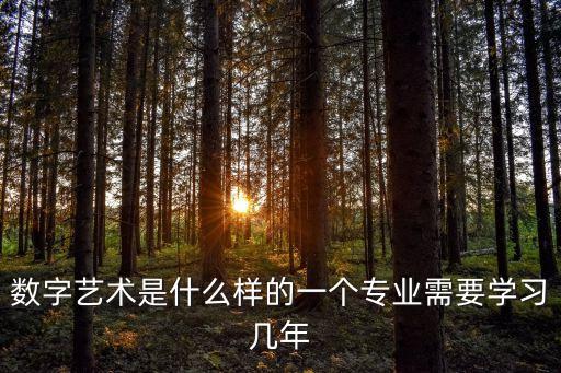 數字藝術是什么樣的一個專業需要學習幾年