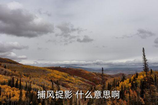 捕風捉影 什么意思啊