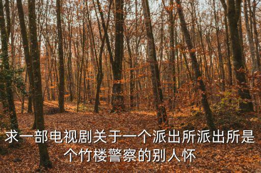 求一部電視劇關于一個派出所派出所是個竹樓警察的別人懷