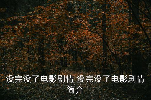 沒完沒了電影劇情 沒完沒了電影劇情簡介