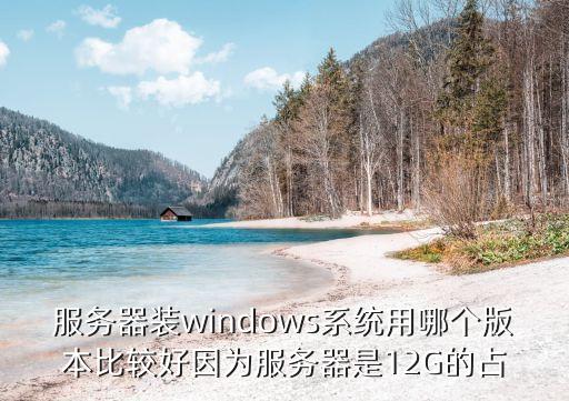 服務(wù)器系統(tǒng)，服務(wù)器裝windows系統(tǒng)用哪個版本比較好因為服務(wù)器是12G的占