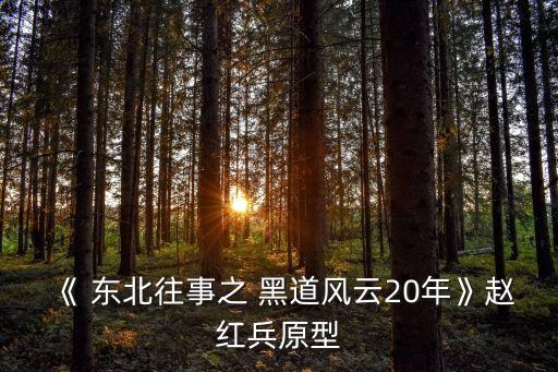 東北黑道,電視劇講述黑道20年來變遷展現真實世界
