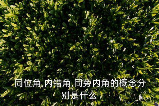  同位角,內(nèi)錯(cuò)角,同旁內(nèi)角的概念分別是什么