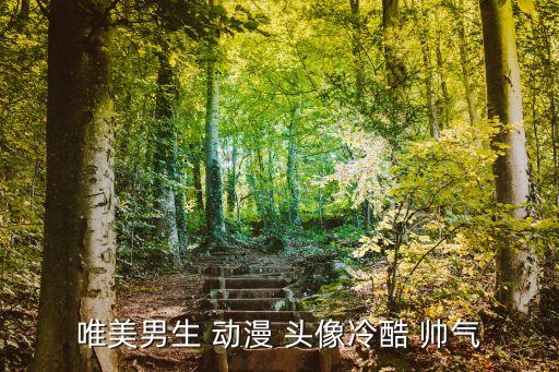 帥氣的動(dòng)漫頭像,點(diǎn)擊死神等動(dòng)漫名字就能看帥哥