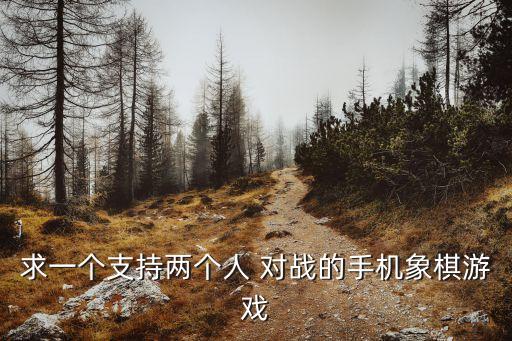 國際象棋對戰,國際象棋大戰1.30軟件介紹:可機上互聯網對弈