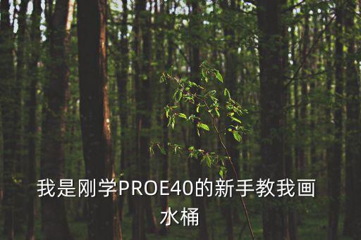 我是剛學(xué)PROE40的新手教我畫 水桶