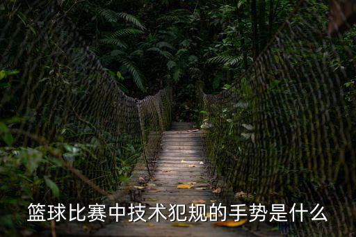 籃球比賽中技術(shù)犯規(guī)的手勢(shì)是什么