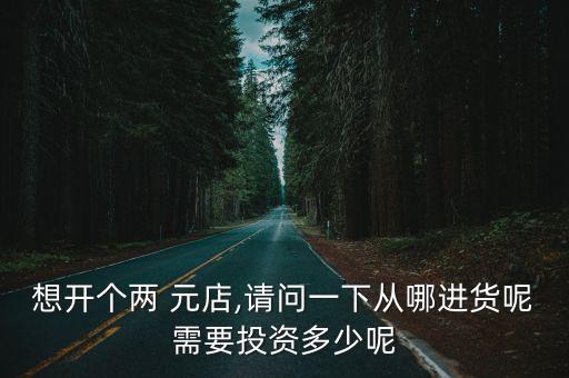 想開個(gè)兩 元店,請(qǐng)問一下從哪進(jìn)貨呢需要投資多少呢