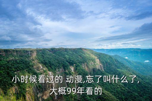 99動漫,西游記動畫:講四驅車的動畫片98年和1999年之別