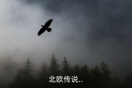 布拉奇,布拉切職業生涯回顧