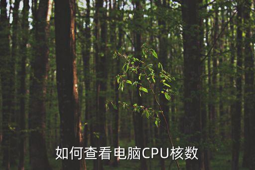 查看cpu核數(shù)，如何查看處理器cpu核數(shù)核心數(shù)量是幾核