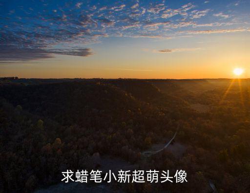 求蠟筆小新超萌頭像