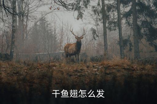 干魚翅怎么泡發(fā)，干魚翅的泡法