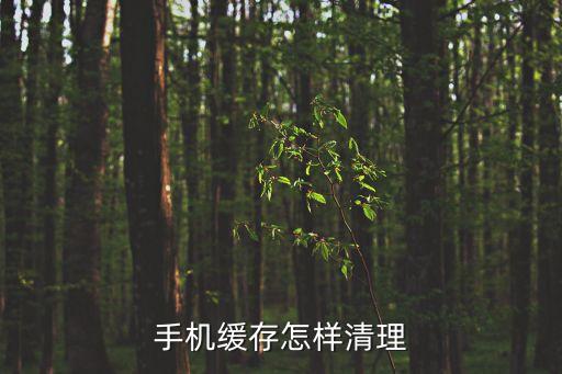 手機怎么清理緩存，手機緩存怎樣清理