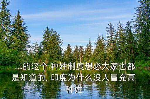 ...的這個 種姓制度想必大家也都是知道的, 印度為什么沒人冒充高 種姓