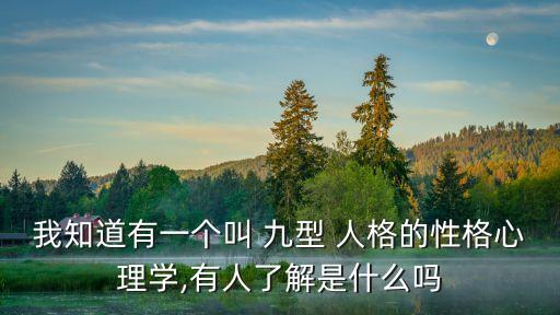 我知道有一個叫 九型 人格的性格心理學,有人了解是什么嗎