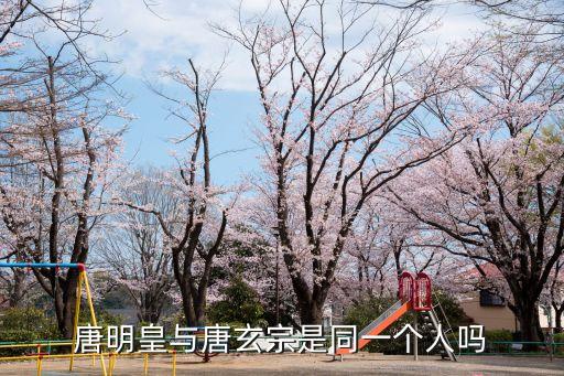 唐明皇是唐玄宗嗎，唐明皇是哪個朝代的帝王叫什么