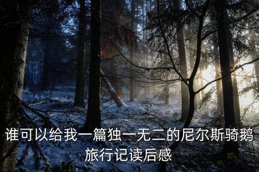 誰(shuí)可以給我一篇獨(dú)一無(wú)二的尼爾斯騎鵝旅行記讀后感