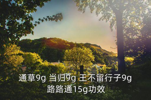 通草9g 當(dāng)歸9g 王不留行子9g 路路通15g功效