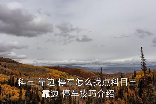 科三靠邊停車技巧,第三科三靠邊停車注意事項一文看懂