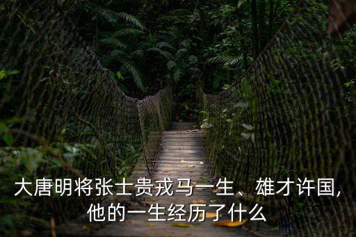 大唐明將張士貴戎馬一生、雄才許國(guó),他的一生經(jīng)歷了什么