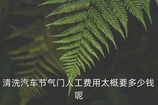 清洗汽車節氣門人工費用太概要多少錢呢