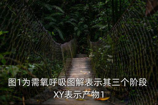 一為，為的筆順