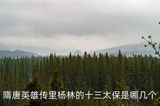 隋唐英雄傳里楊林的十三太保是哪幾個