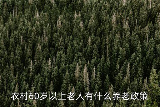 農村60歲以上老人有什么養老政策
