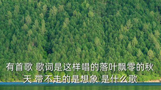 有首歌 歌詞是這樣唱的落葉飄零的秋天 帶不走的是想象 是什么歌